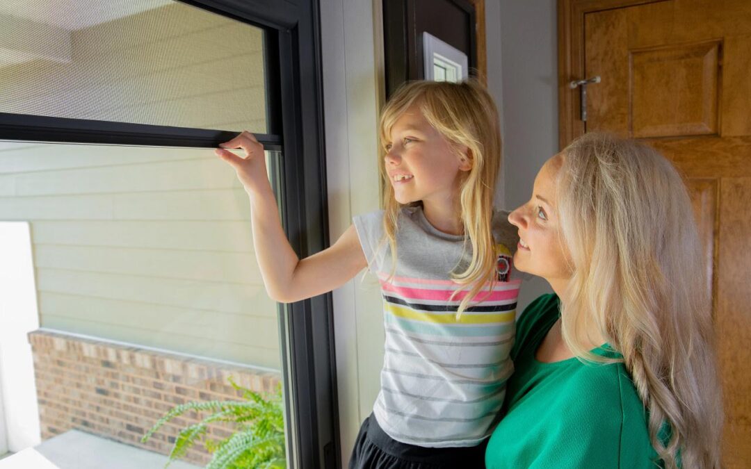 Top 3 Denver Neighborhoods Upgrading to Energy-Efficient Storm Doors