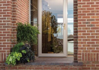 Glass Security Storm Door