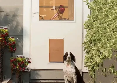 Pet Door Installation in Denver