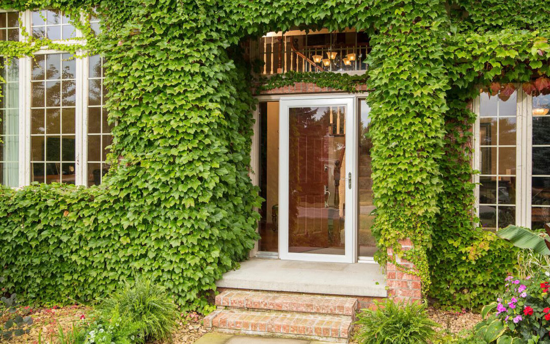 How to Choose the Right Storm Door Style for Your Home