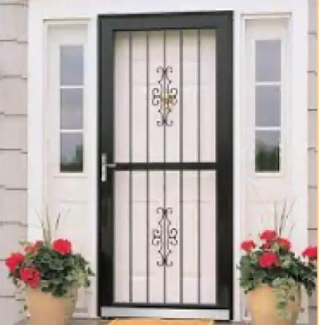 Storm door 1