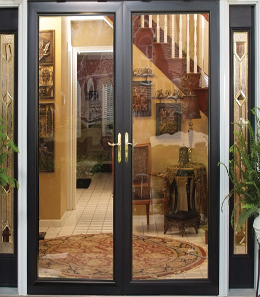 IMG_0005 1 French storm doors