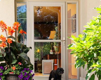 per-door-2 White storm door with pet door