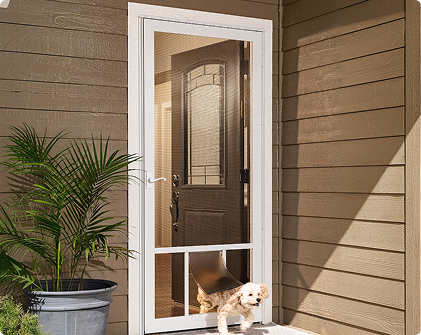 pet-door-6 Cute small dog going out a pet safe storm door.