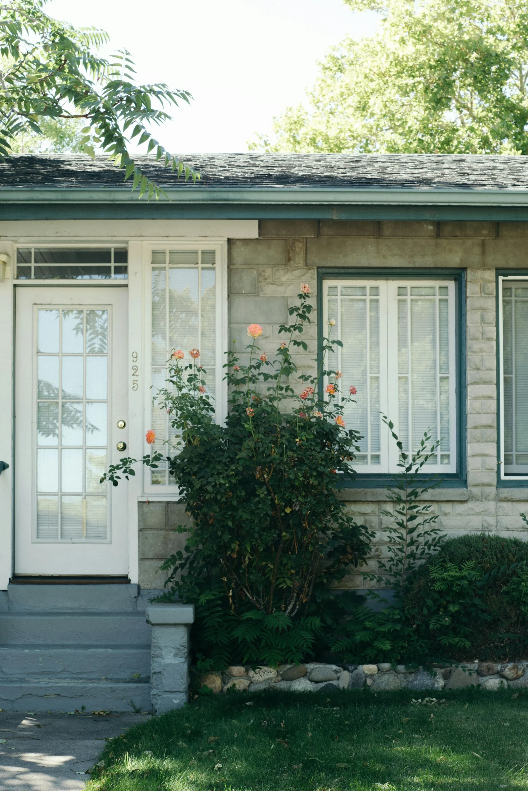 storm-door-denver House with pretty white storm door.