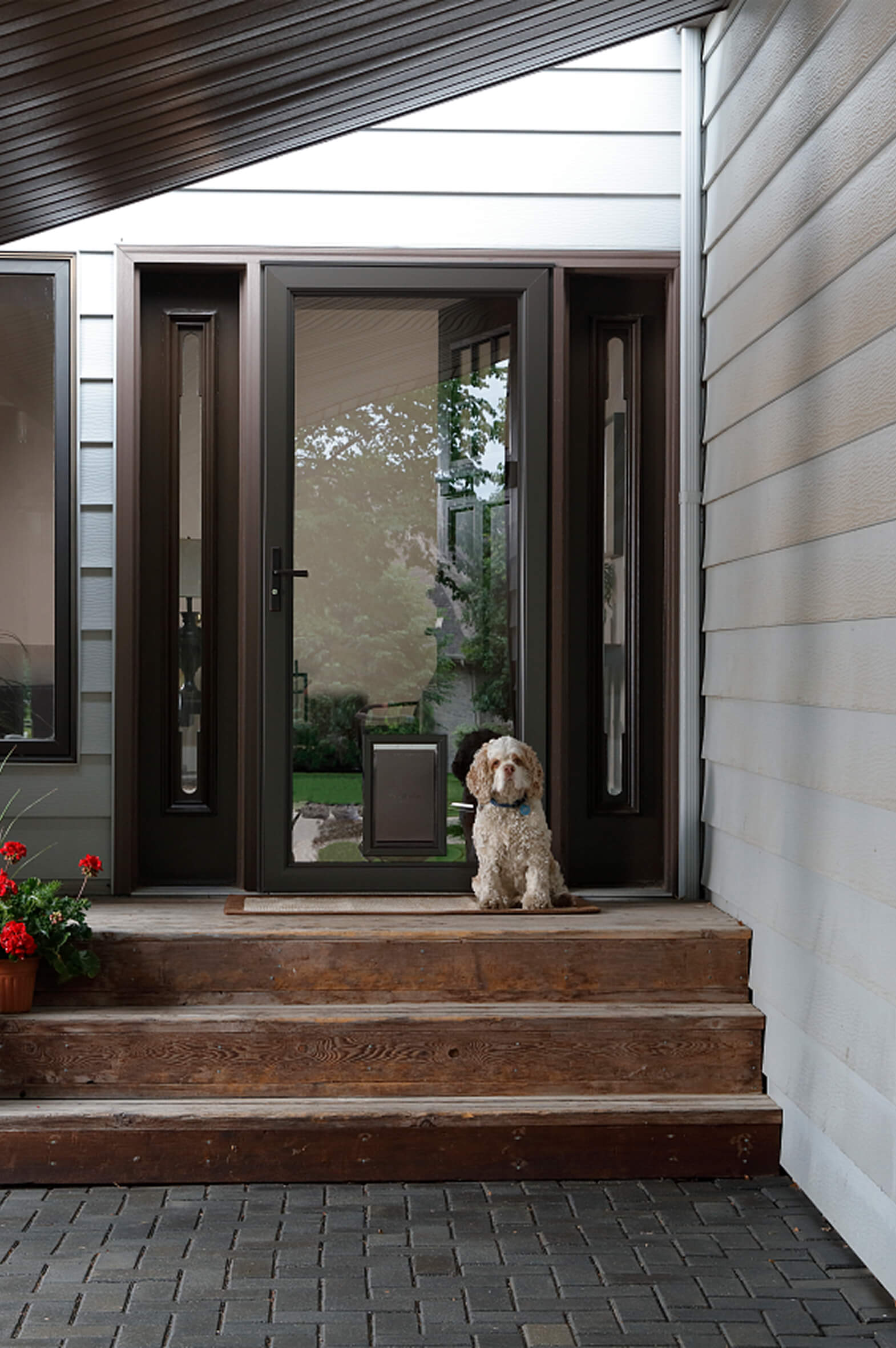 bronze-full-view-storm-door-with-pet-door-insert Pet doors denver colorado
