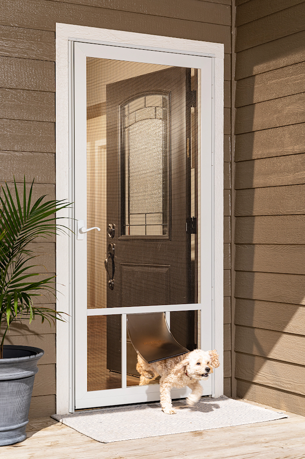 dog-storm-door-screen-pet-flap-entry Cute small dog going out a pet safe storm door.