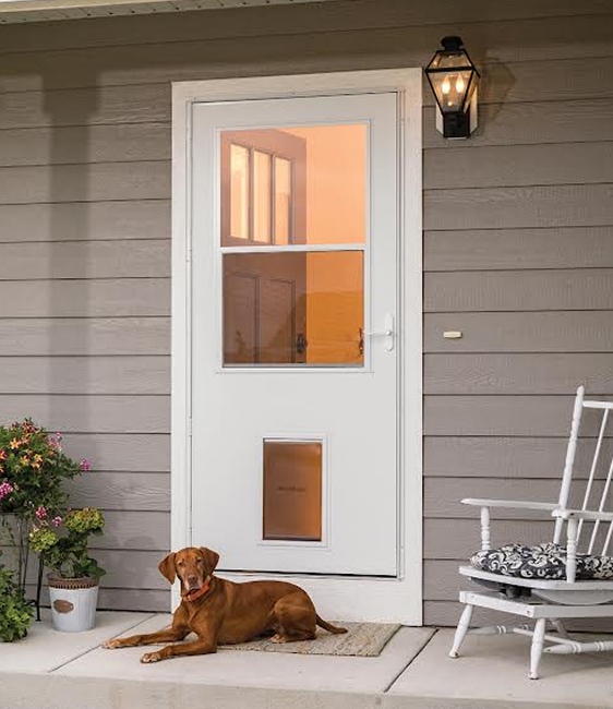 custom-fit-storm-door-with-pet-door White storm door with a custom-fit pet door installed and a Vizsla resting on the front porch