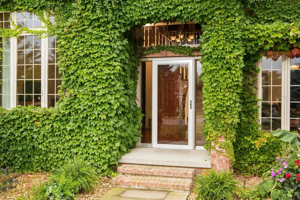 storm and security door installers near me